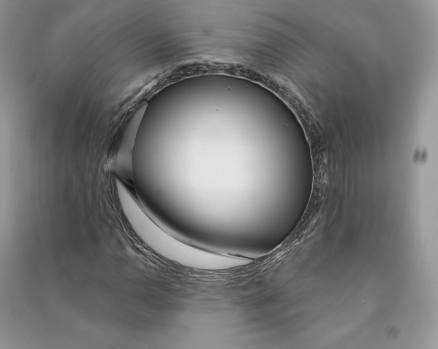 X0000090611110200708141345