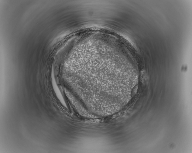 X0000090611111200708141345