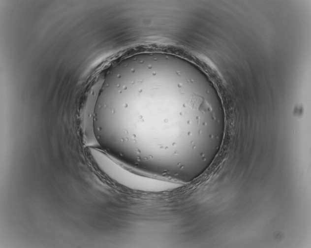 X0000090611112200708141345