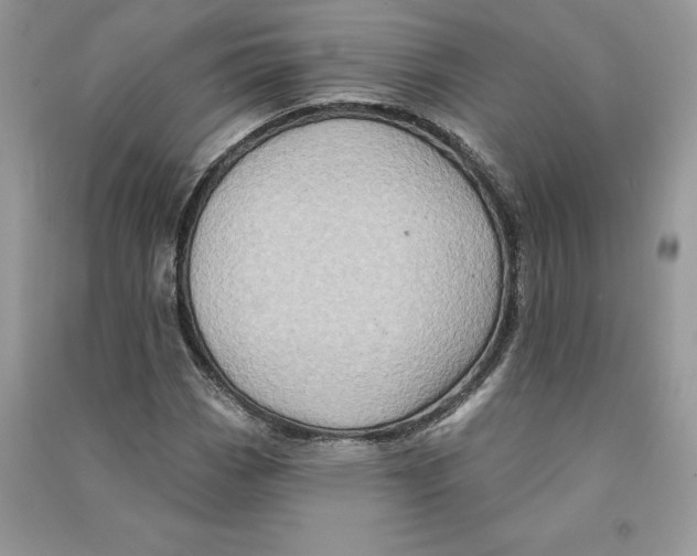 X0000090611113200708141345