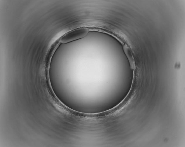 X0000090611114200708141345