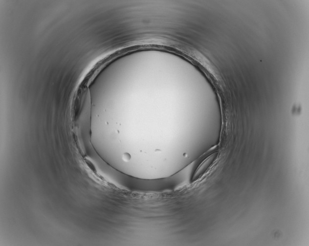 X0000090611116200708141345