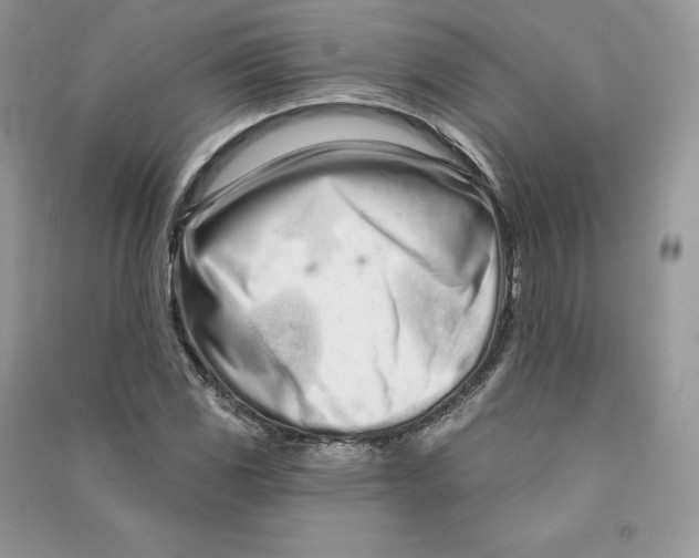 X0000090611117200708141345