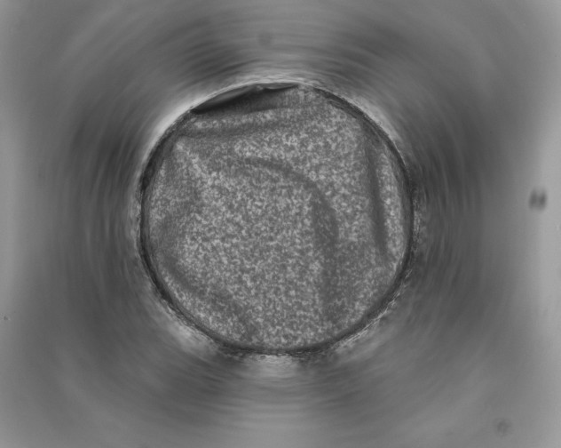 X0000090611119200708141345