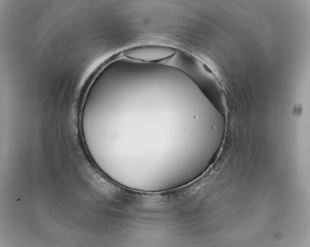 X0000090611120200708141345