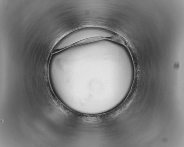 X0000090611121200708141345