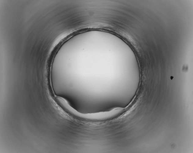 X0000090611122200708141345