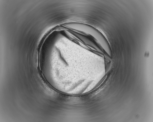 X0000090611123200708141345