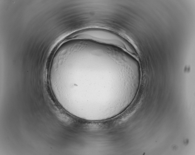 X0000090611125200708141345