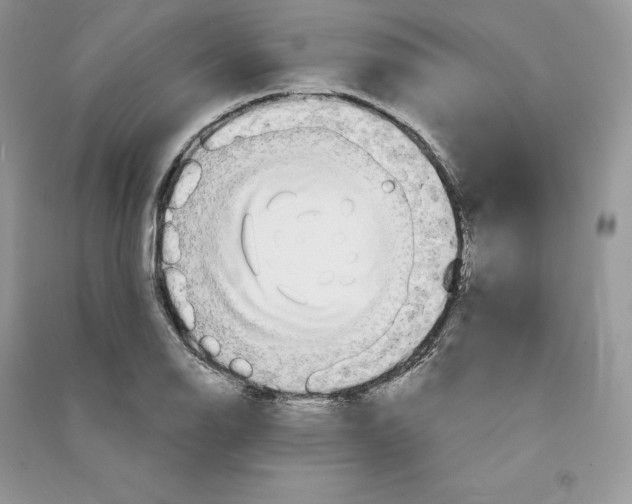 X0000090611126200708141345