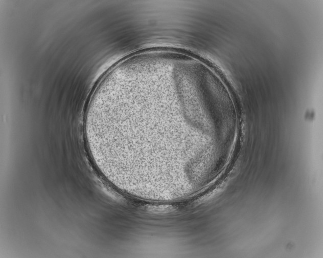 X0000090611129200708141345