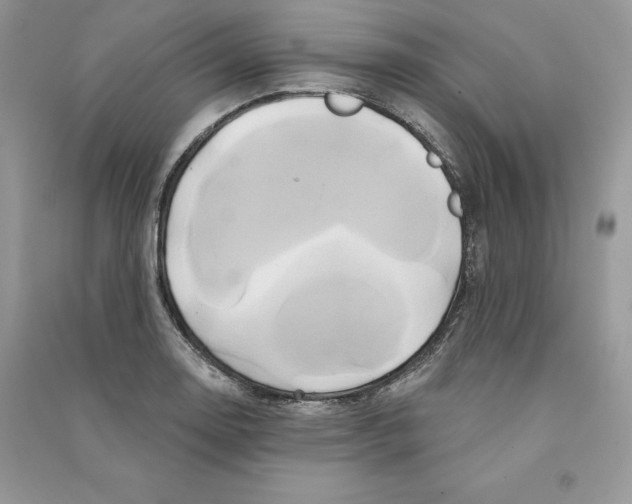 X0000090611130200708141345