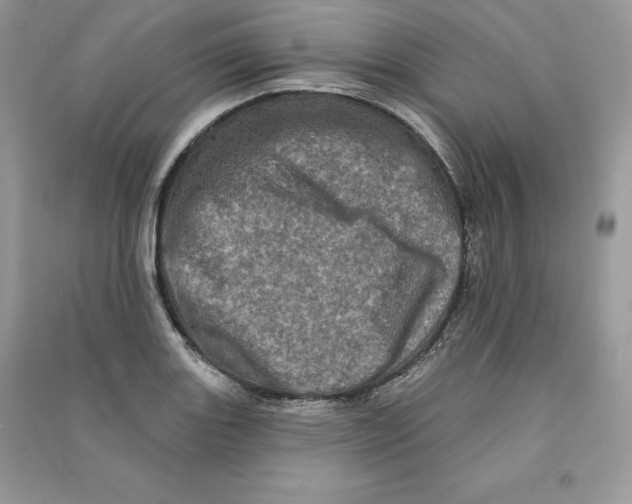 X0000090611131200708141345