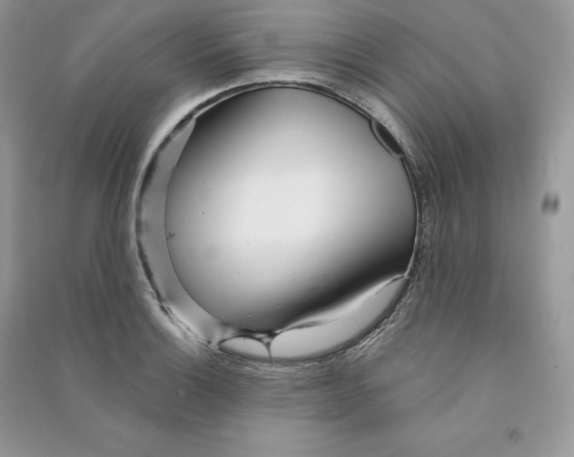 X0000090611132200708141345