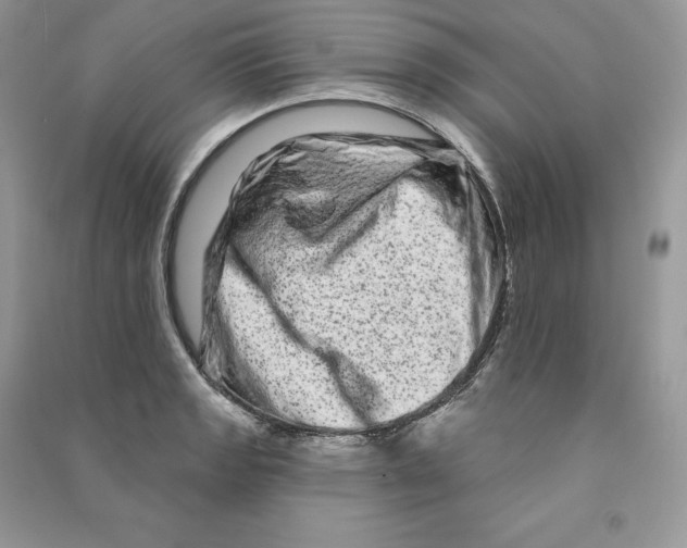 X0000090611133200708141345