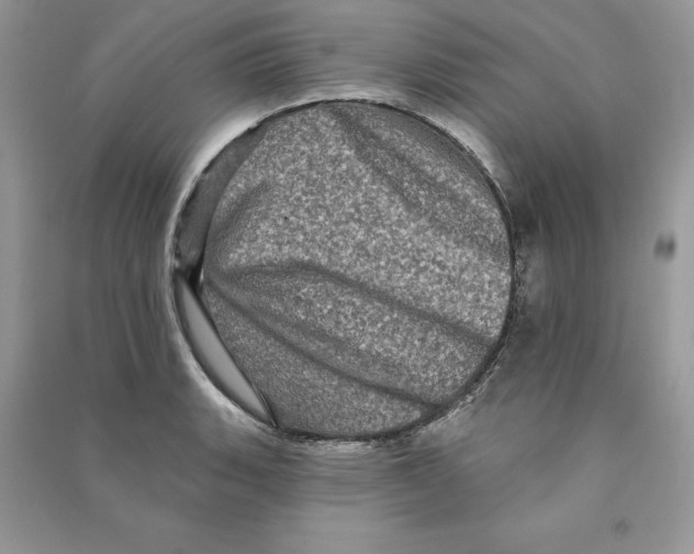 X0000090611135200708141345