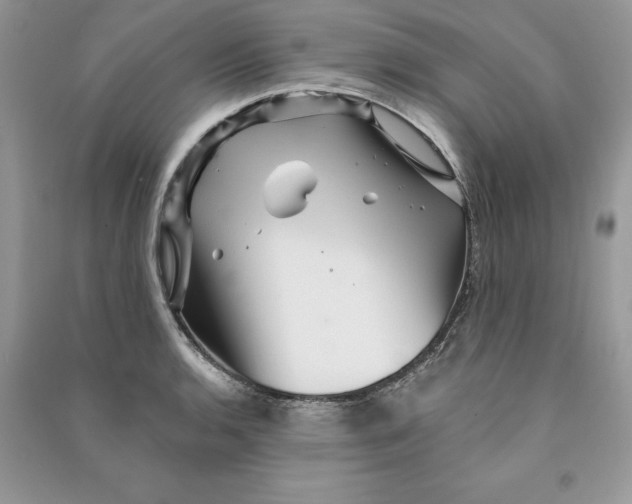 X0000090611136200708141345