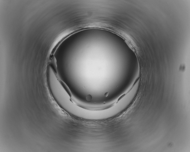 X0000090611138200708141345