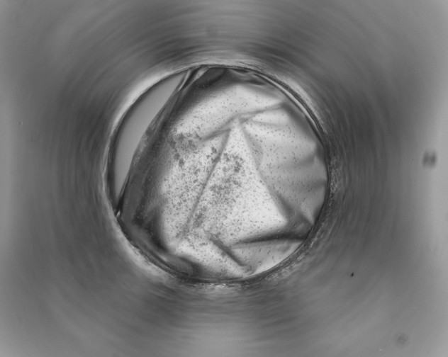 X0000090611139200708141345