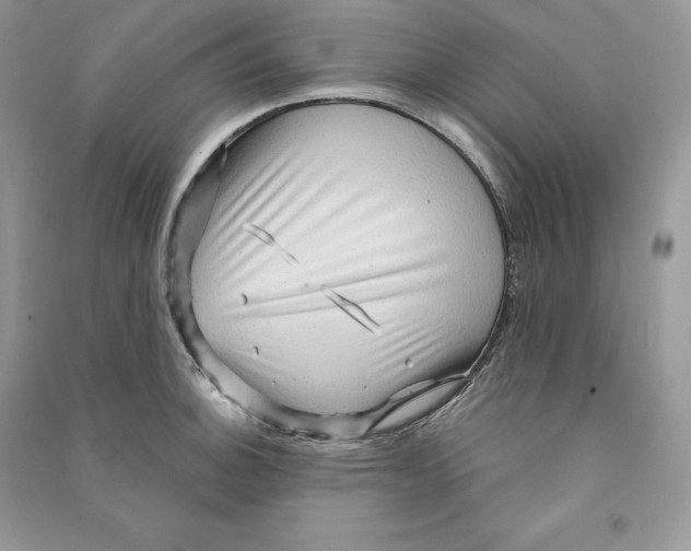 X0000090611140200708141345