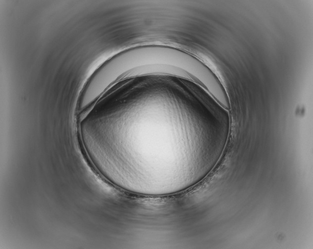 X0000090611141200708141345