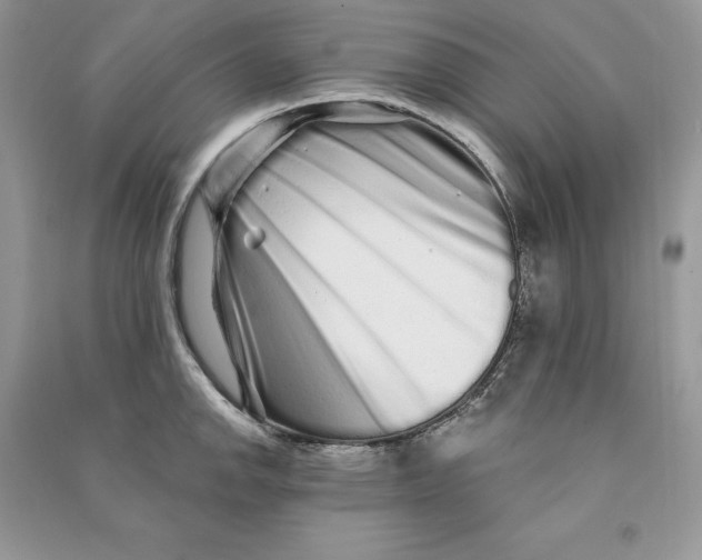 X0000090611142200708141345