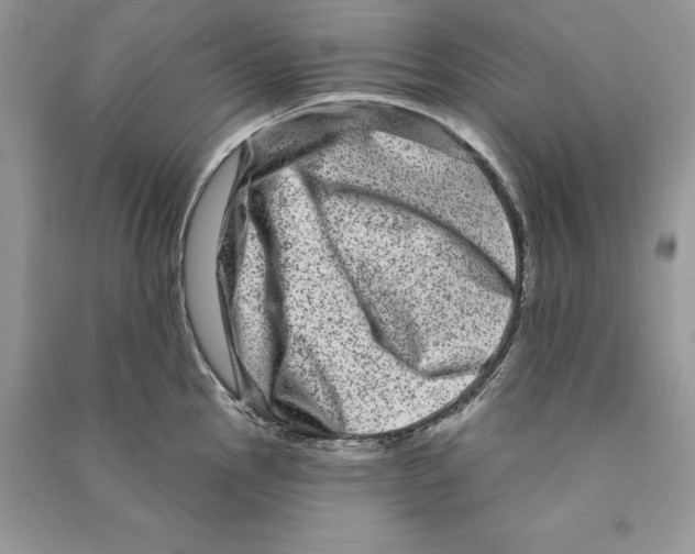 X0000090611145200708141346