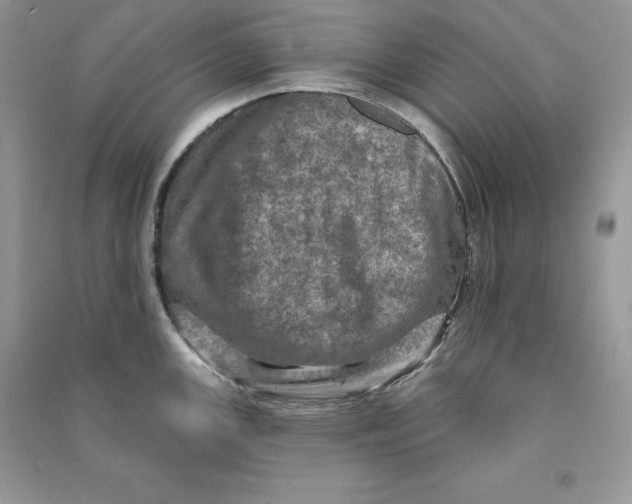 X0000090611147200708141346