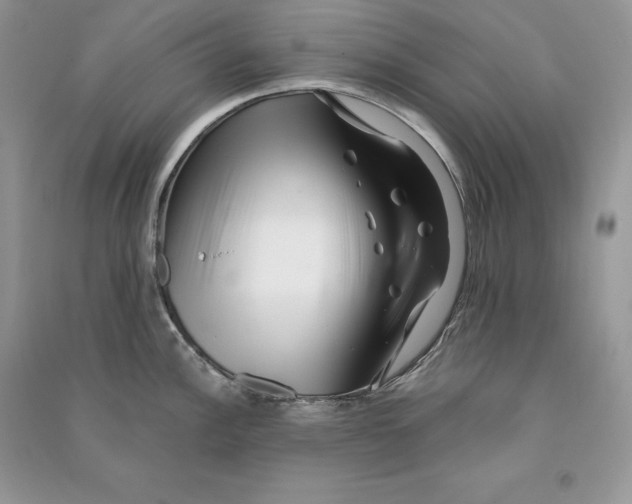 X0000090611148200708141346