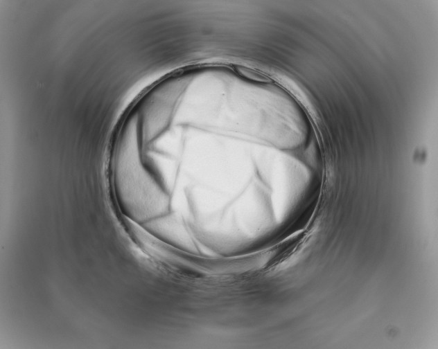 X0000090611149200708141346