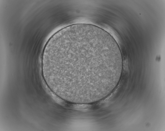 X0000090611150200708141346