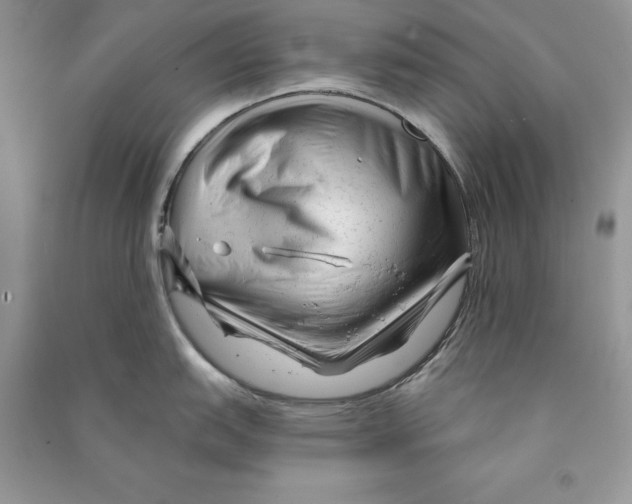 X0000090611151200708141346