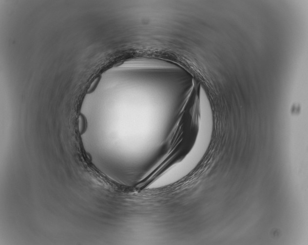 X0000090611153200708141345