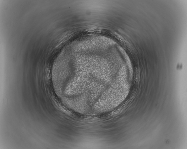 X0000090611154200708141345