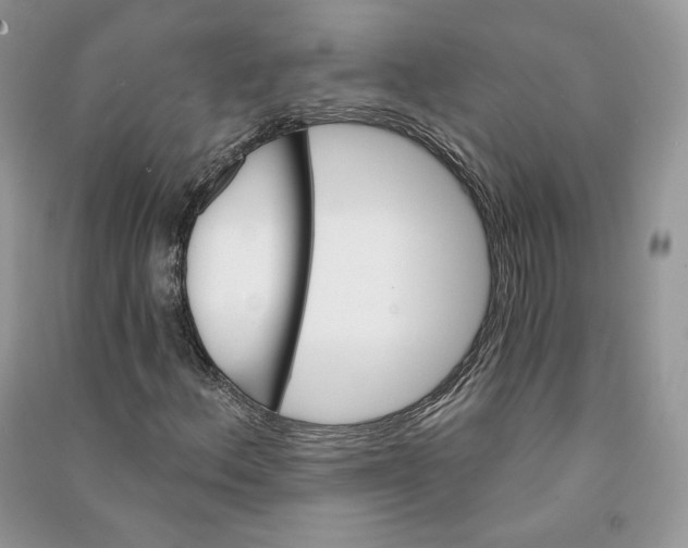 X0000090611156200708141345