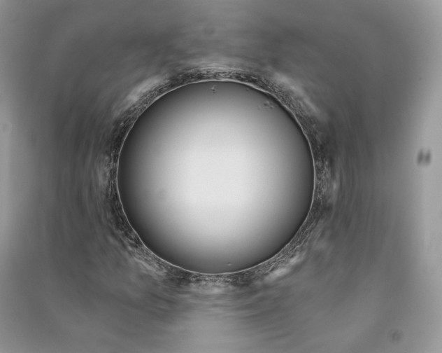 X0000090611157200708141345