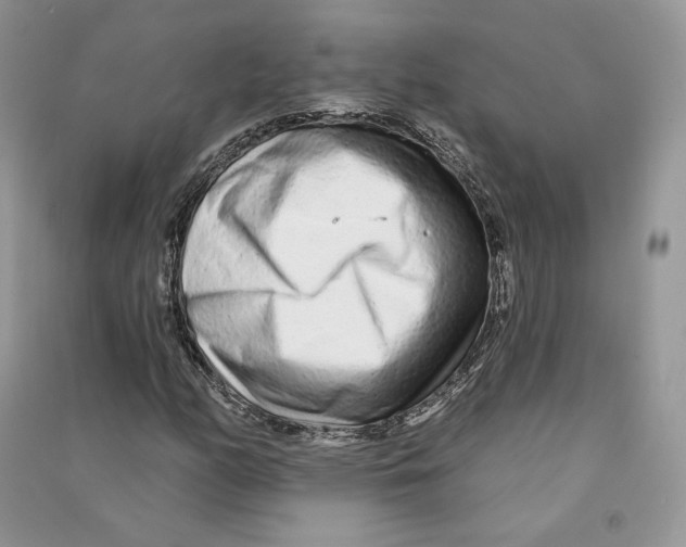 X0000090611158200708141345