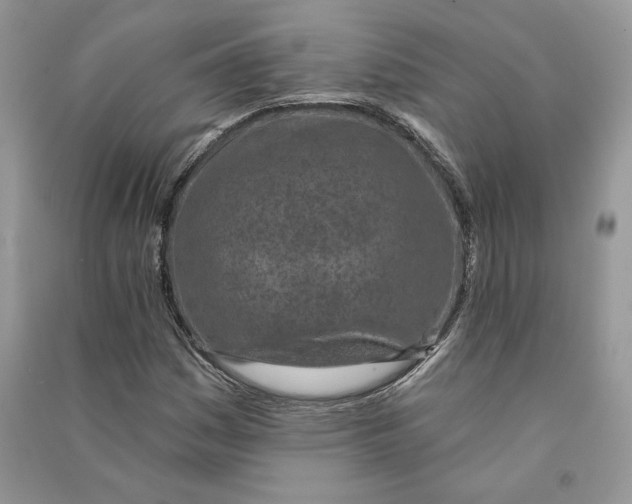 X0000090611161200708141345