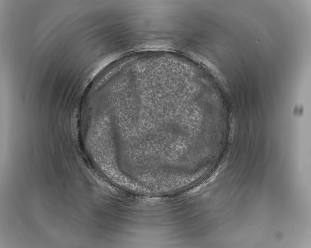 X0000090611162200708141345