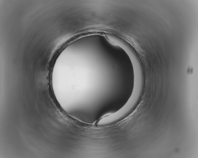 X0000090611164200708141345