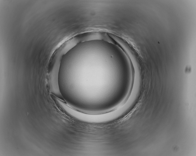 X0000090611165200708141345