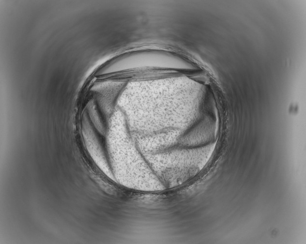 X0000090611166200708141345