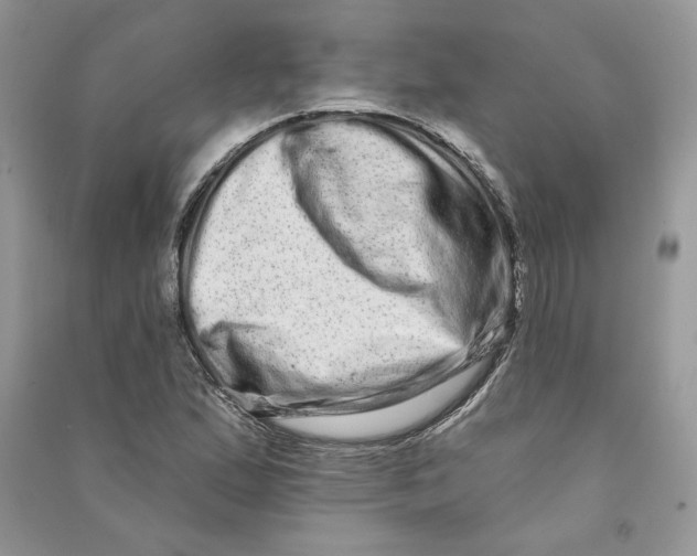 X0000090611167200708141345