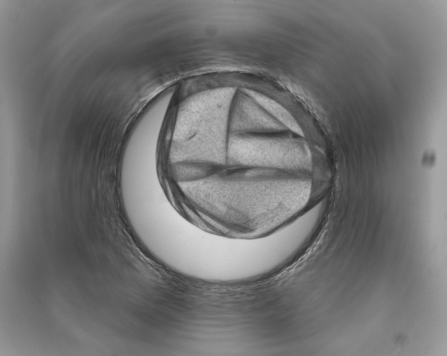 X0000090611169200708141345