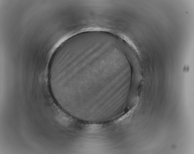 X0000090611173200708141345