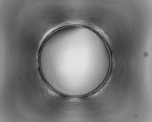 X0000090611174200708141345