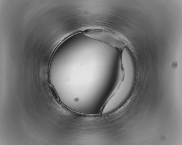 X0000090611177200708141345