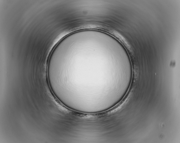 X0000090611178200708141345