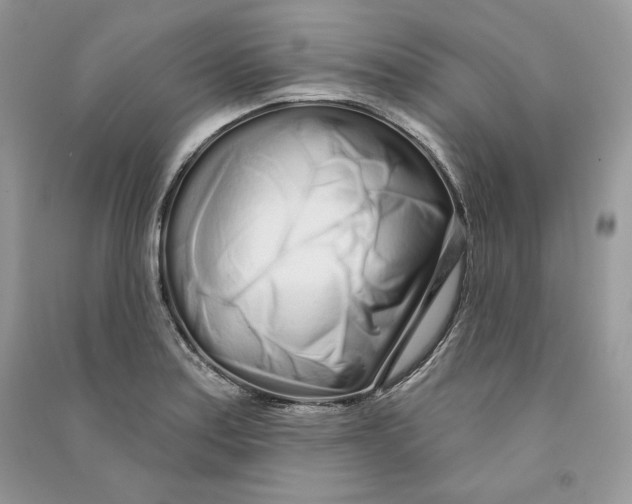 X0000090611179200708141345