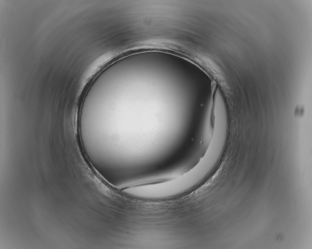 X0000090611180200708141345